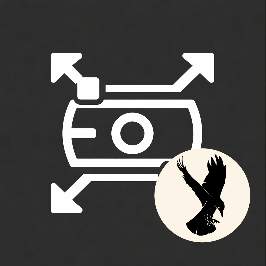 OBS Source Transformation icon